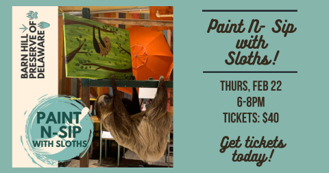 Paint N-Sip with Sloths